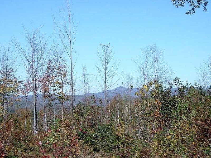 Lot 7 Lyle Hall Road Wilton, ME 04294 - Photo 2 of 3 Photo