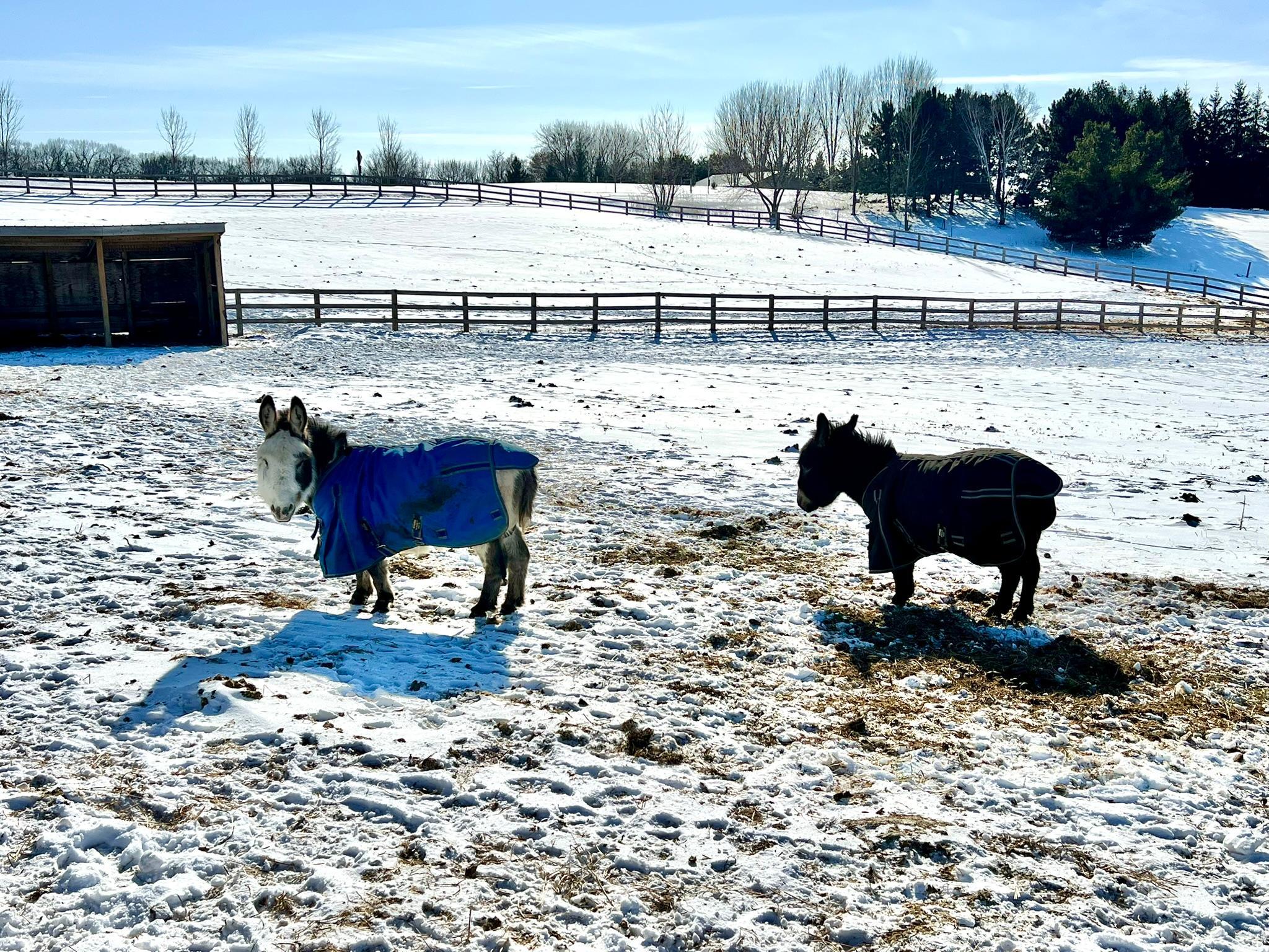 W10708 468th Avenue Prescott, WI 54021 - Photo 21 of 53
