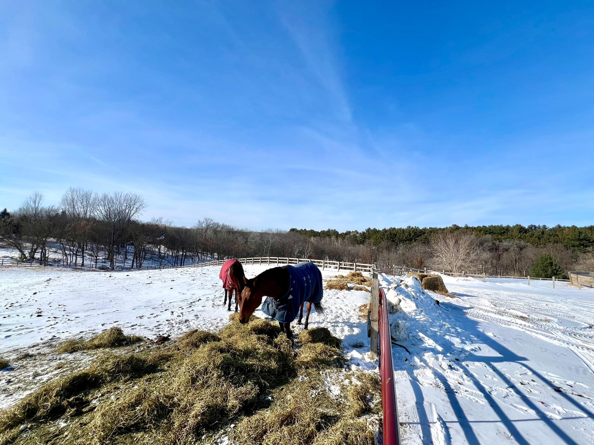 W10708 468th Avenue Prescott, WI 54021 - Photo 22 of 53