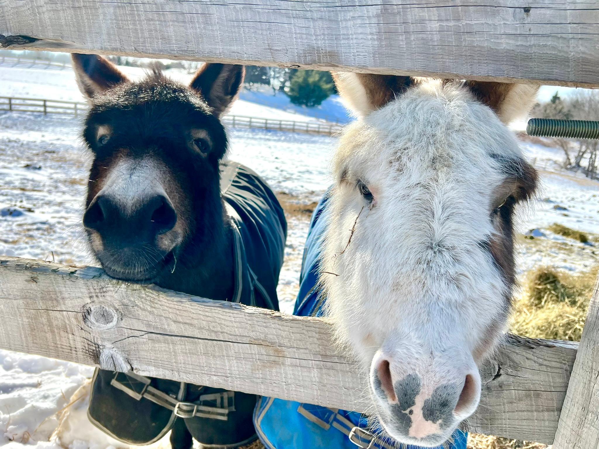 W10708 468th Avenue Prescott, WI 54021 - Photo 23 of 53