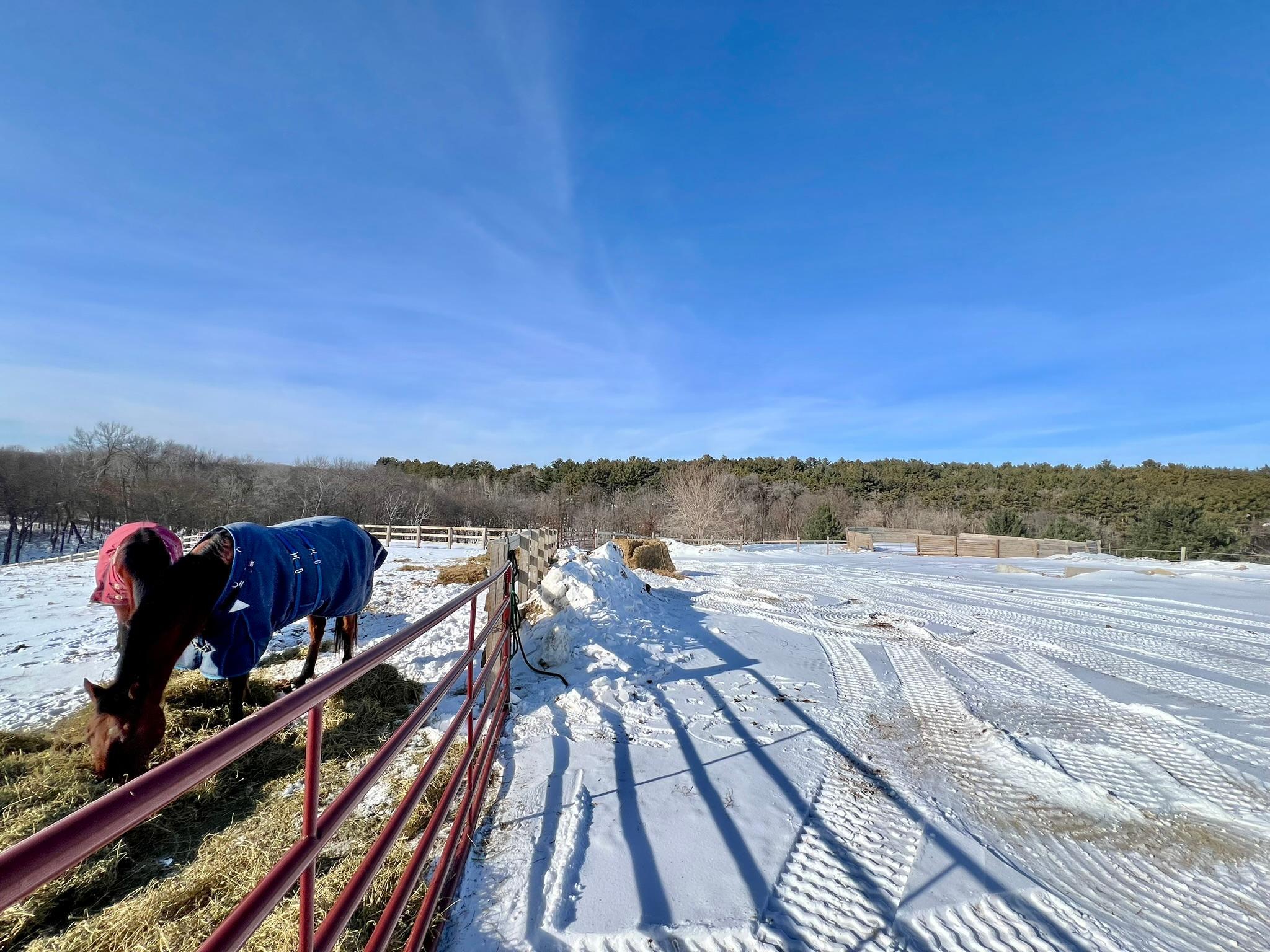 W10708 468th Avenue Prescott, WI 54021 - Photo 25 of 53