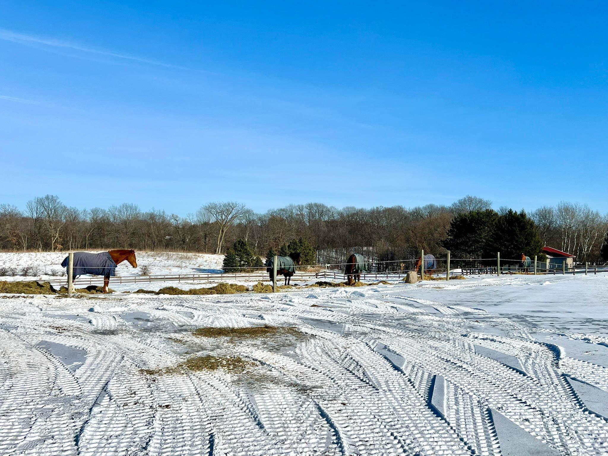 W10708 468th Avenue Prescott, WI 54021 - Photo 33 of 53