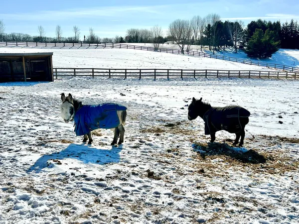 $575,000 | W10708 468th Avenue, Prescott, WI 54021