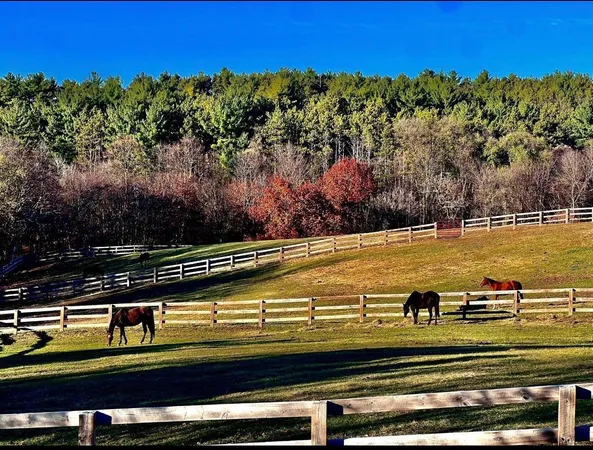 $575,000 | W10708 468th Avenue, Prescott, WI 54021