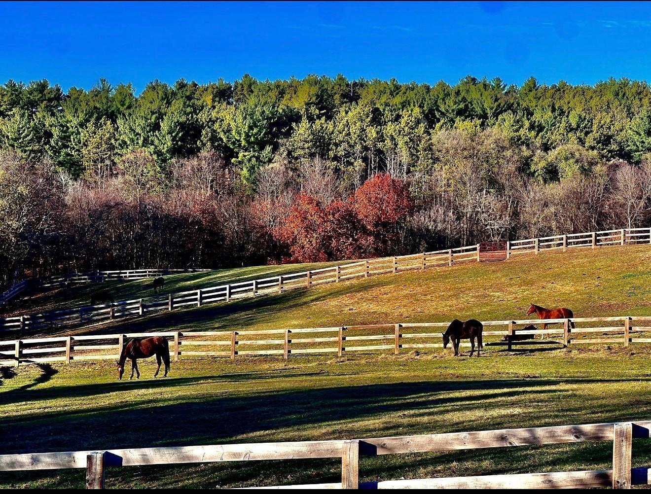 W10708 468th Avenue Prescott, WI 54021 - Photo 5 of 53