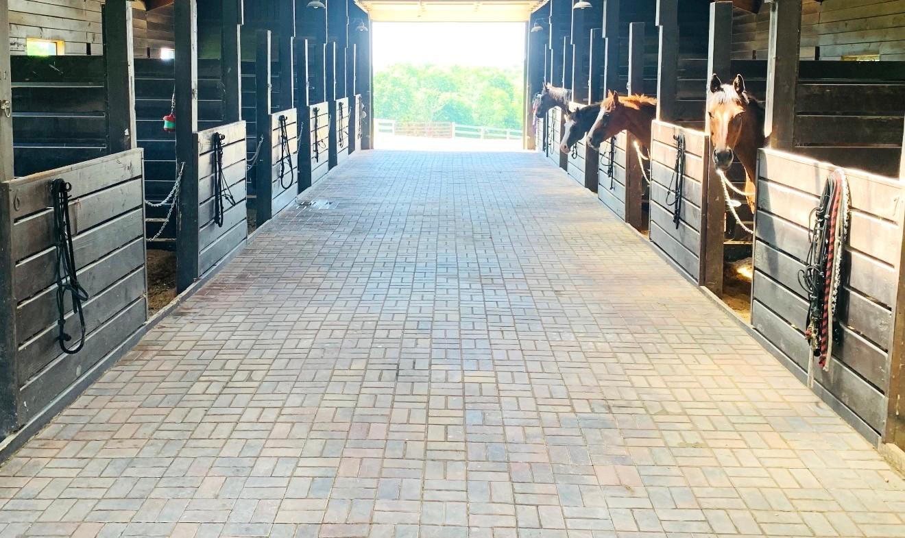 W10708 468th Avenue Prescott, WI 54021 - Photo 7 of 53