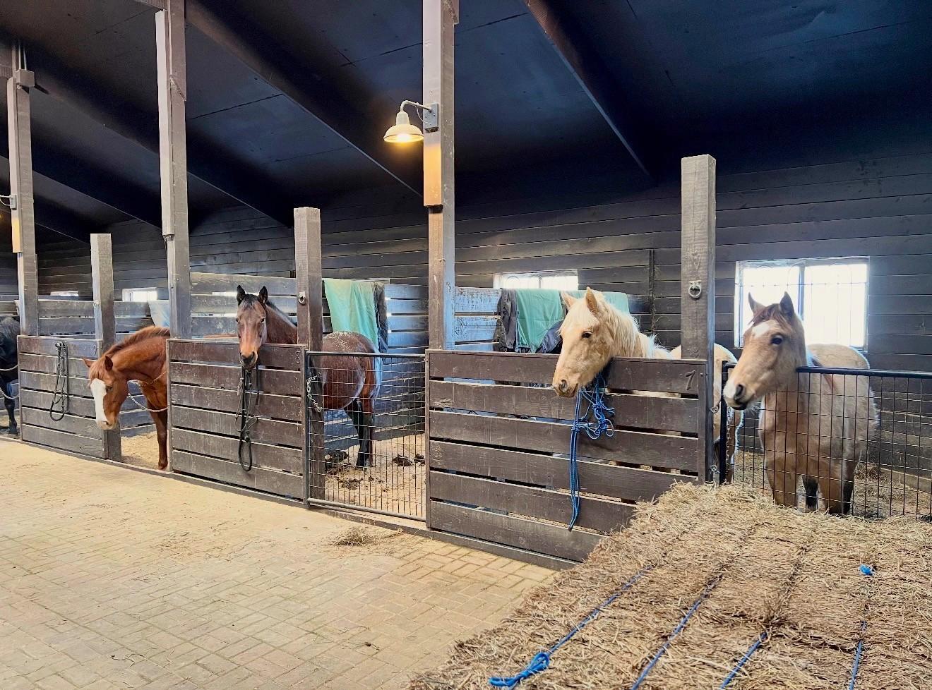 W10708 468th Avenue Prescott, WI 54021 - Photo 8 of 53