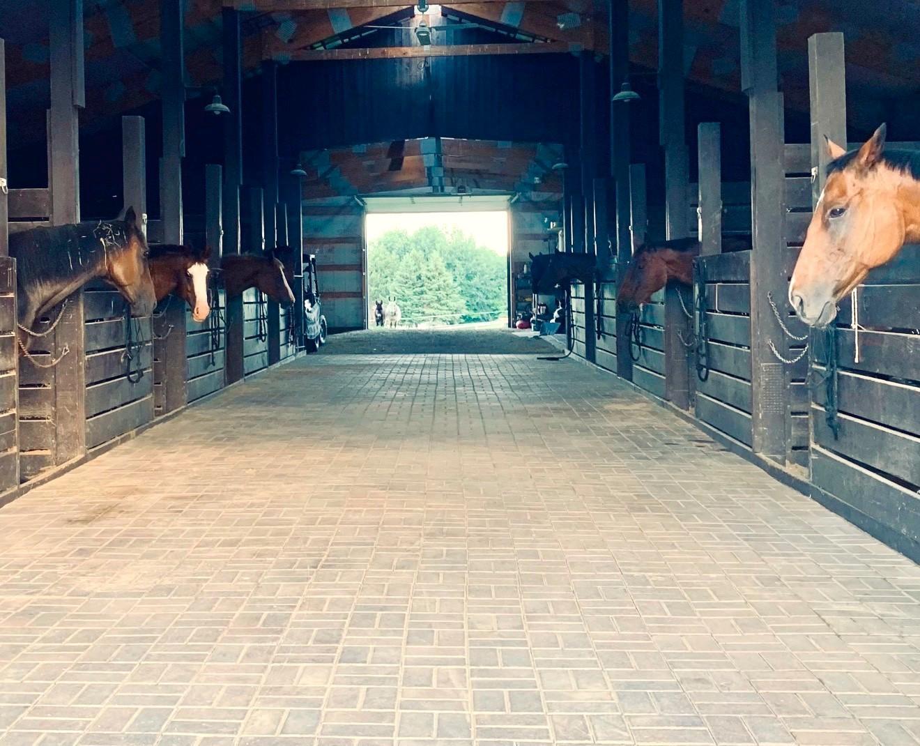 W10708 468th Avenue Prescott, WI 54021 - Photo 9 of 53