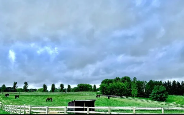 $575,000 | W10708 468th Avenue, Prescott, WI 54021