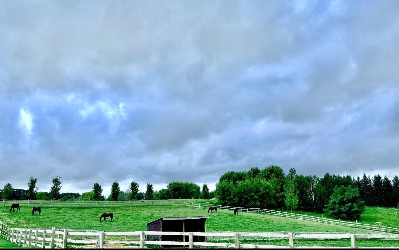 W10708 468th Avenue Prescott, WI 54021 - Photo 10 of 53