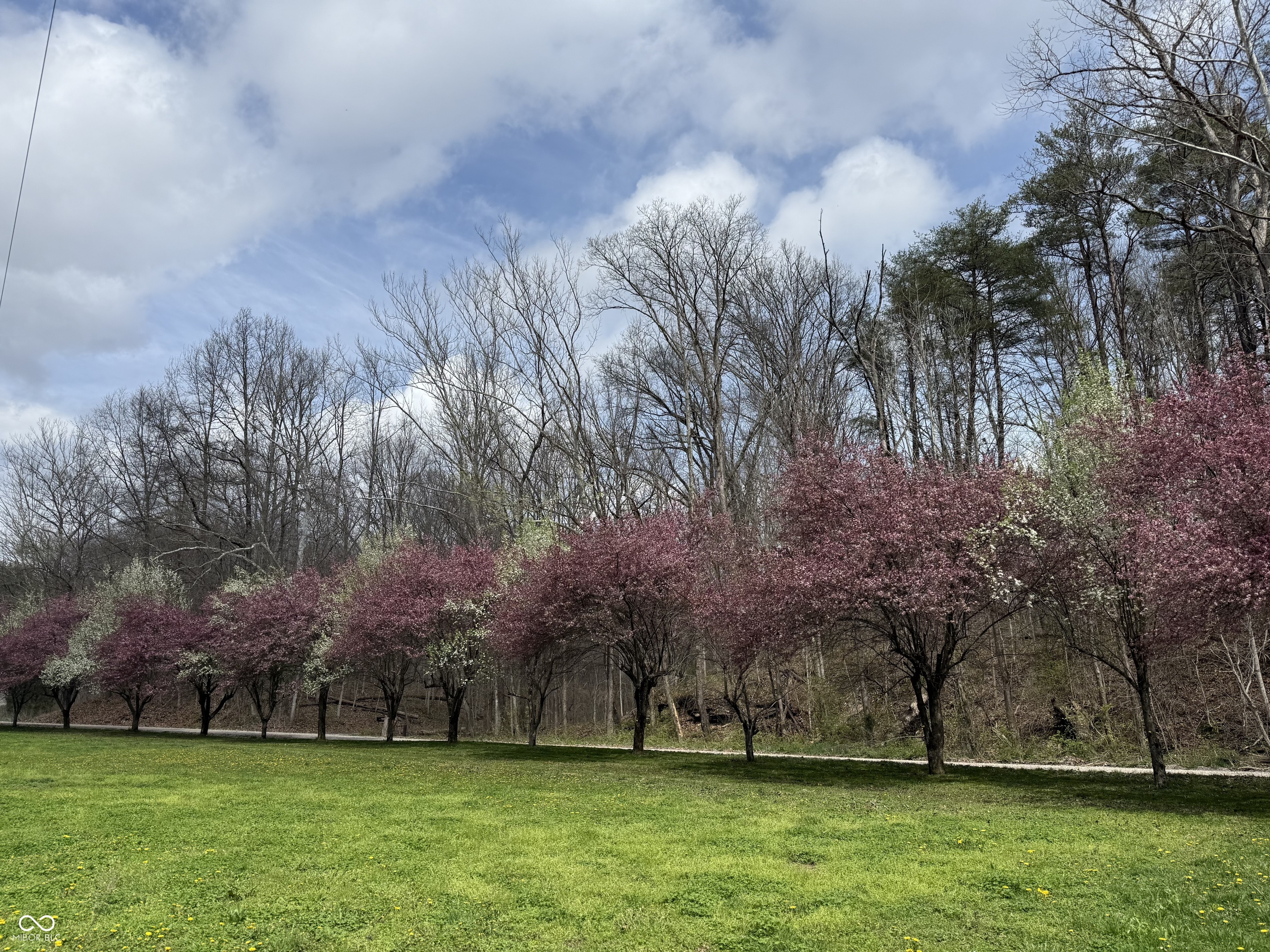 7730 Bear Creek Road Morgantown, IN 46160 - Photo 89 of 93