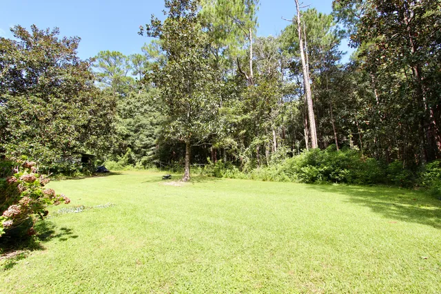 a view of yard with green space