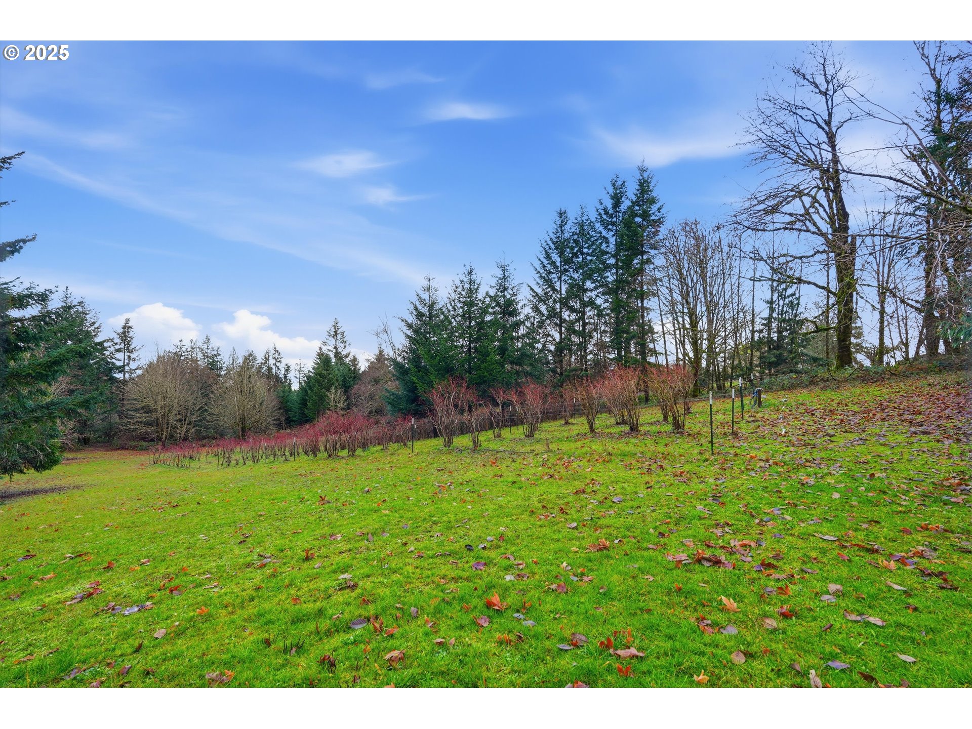 21645 Southwest McCormick Hill Road Hillsboro, OR 97123 - Photo 41 of 47 a backyard of a house with lots of green space
