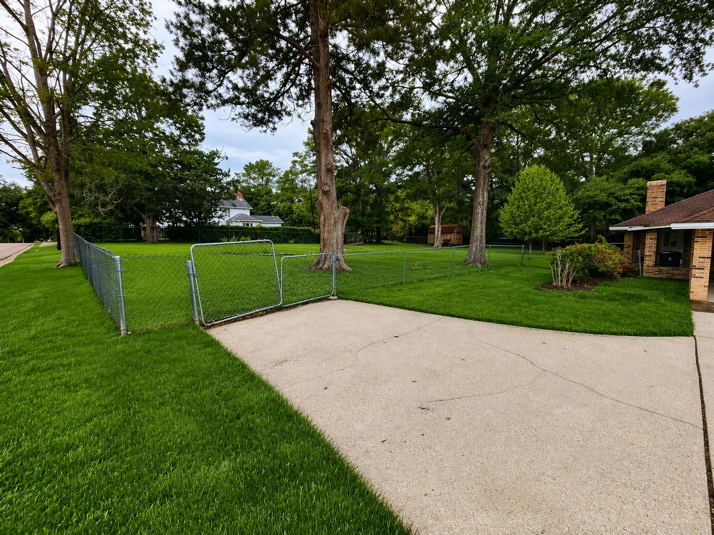 201 Verna Street Jasper, TX 75951 - Photo 27 of 27 Spacious, fenced backyard with mature trees and a concrete patio, ideal for outdoor activities and relaxation.