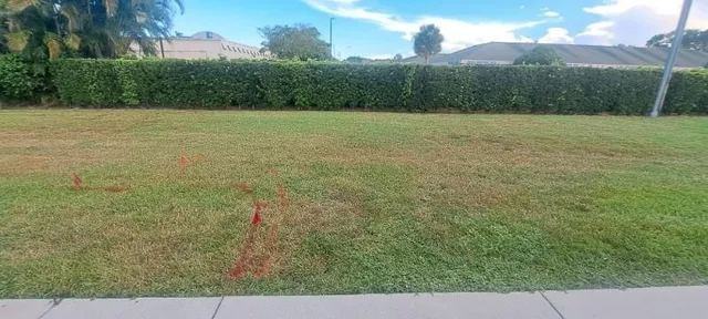 a view of outdoor space and yard