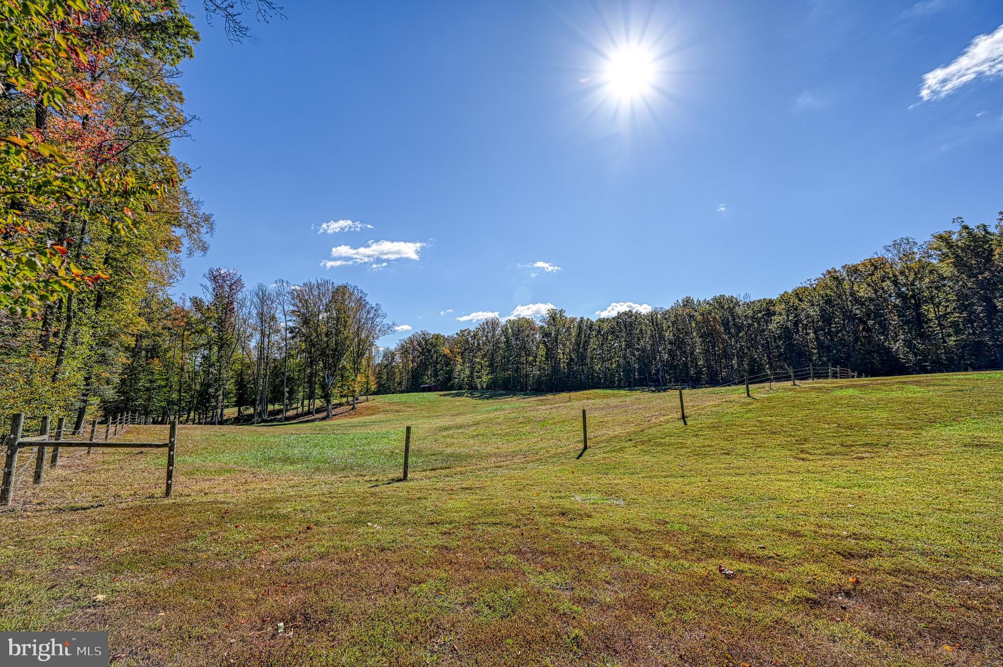 2300 Belle Meade Road Bumpass, VA 23024 - Photo 5 of 44 back pasture