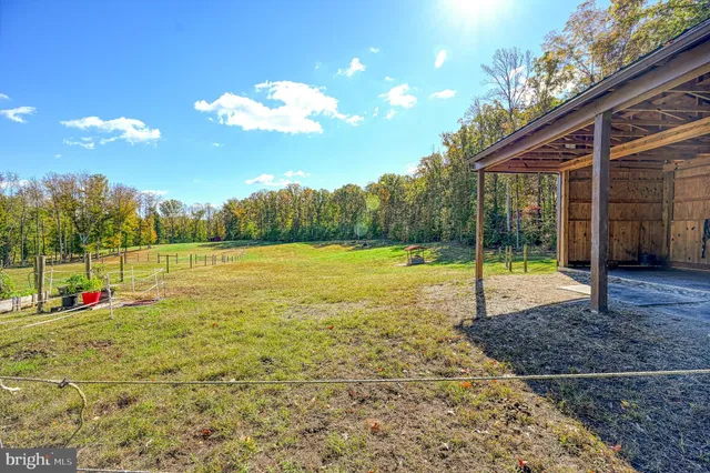 a view of a golf course with a tree