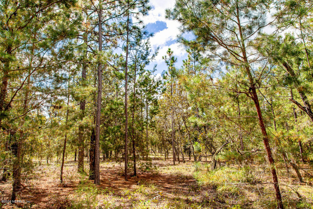 115 Windy Hills Road Hawthorne, FL 32640 - Photo 5 of 12 7jpg