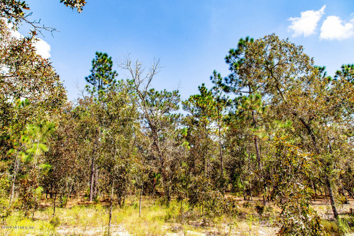 115 Windy Hills Road Hawthorne, FL 32640 - Photo 6 of 12 10jpg
