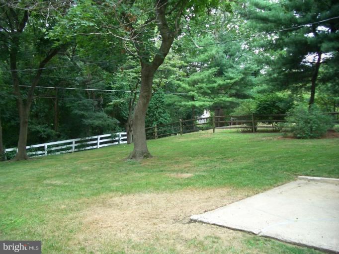 1421 Glendale Road Baltimore, MD 21239 - Photo 13 of 18 Back yard