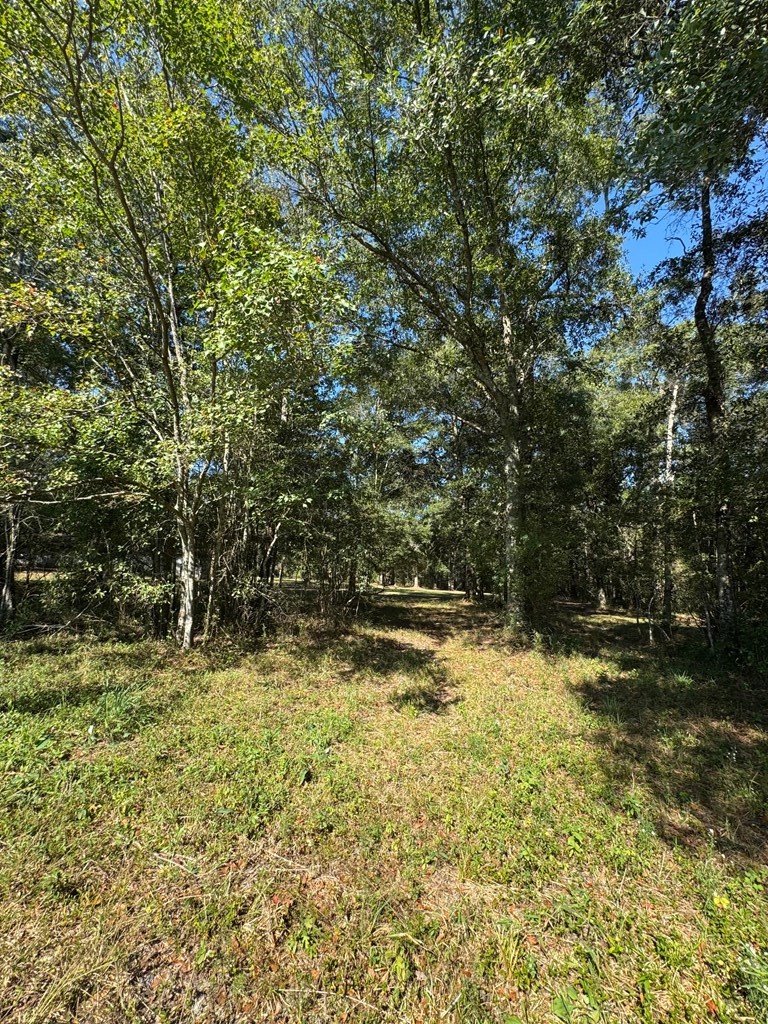 0 Russell Road Samson, AL 36477 - Photo 21 of 32