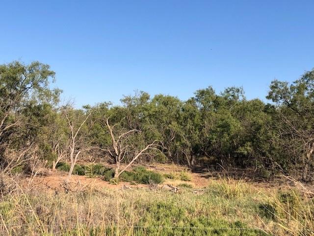 200 Farm To Market 1085 Roby, TX 79543 - Photo 11 of 28 a view of a yard with wooden fence