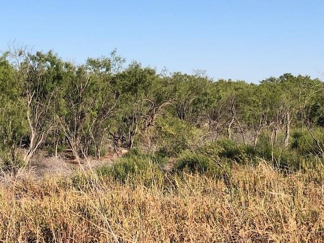 200 Farm To Market 1085 Roby, TX 79543 - Photo 12 of 28 a view of a field with a tree