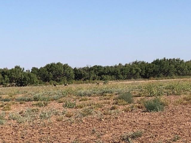 200 Farm To Market 1085 Roby, TX 79543 - Photo 13 of 28 a view of lake and green space