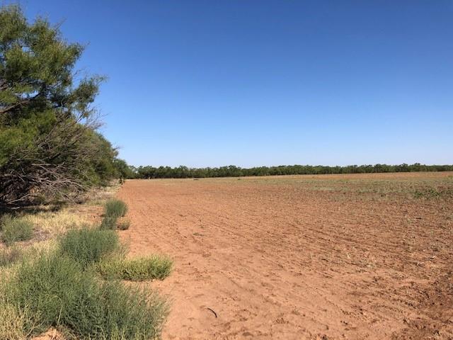 200 Farm To Market 1085 Roby, TX 79543 - Photo 14 of 28 a view of a lake view