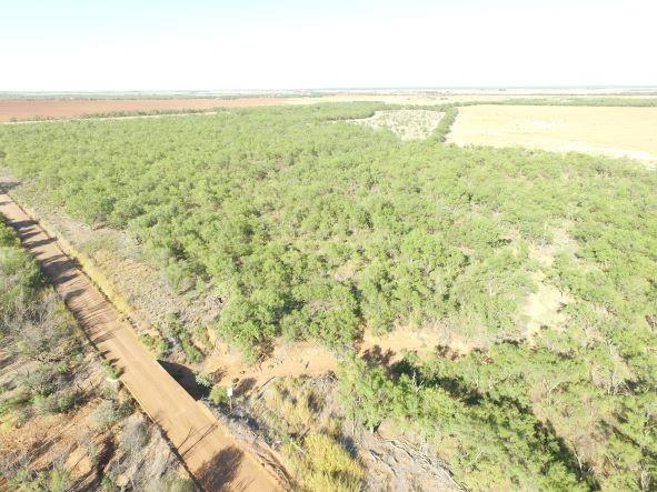 200 Farm To Market 1085 Roby, TX 79543 - Photo 18 of 28 a view of an outdoor space and a lake view