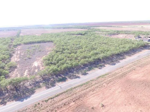 a view of a dry yard with trees in the background