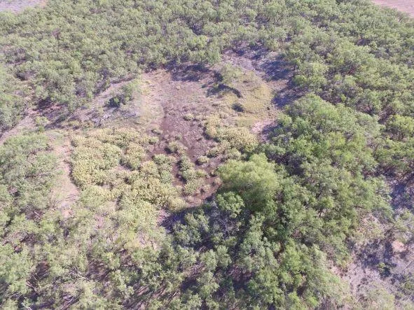 a view of a yard with wooden floor