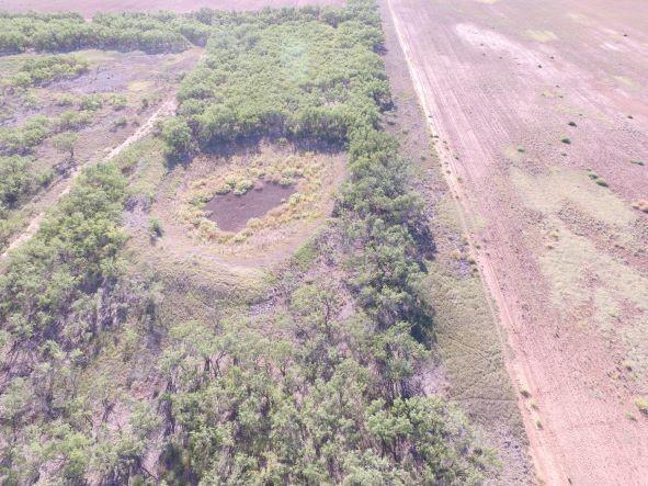 200 Farm To Market 1085 Roby, TX 79543 - Photo 23 of 28 a view of a dry yard with trees in the background