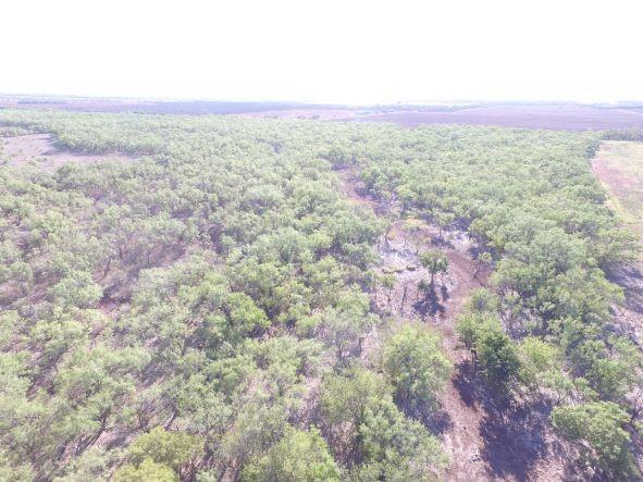 200 Farm To Market 1085 Roby, TX 79543 - Photo 26 of 28 a view of a yard