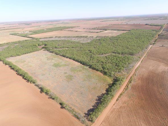 200 Farm To Market 1085 Roby, TX 79543 - Photo 28 of 28 a view of a ocean view with beach