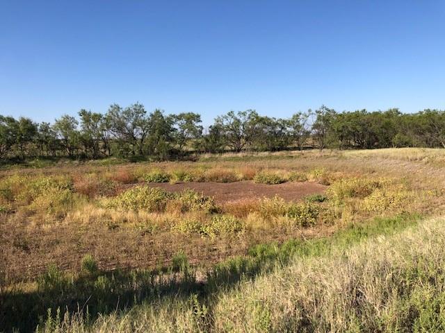 200 Farm To Market 1085 Roby, TX 79543 - Photo 4 of 28 a view of lake with mountain