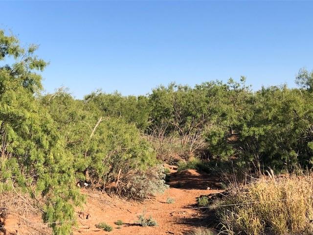 200 Farm To Market 1085 Roby, TX 79543 - Photo 5 of 28 a view of a yard with a tree