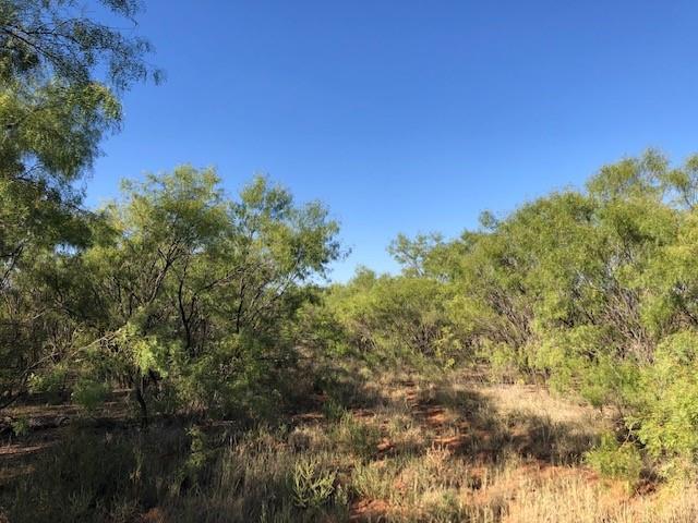 200 Farm To Market 1085 Roby, TX 79543 - Photo 6 of 28 a view of a city