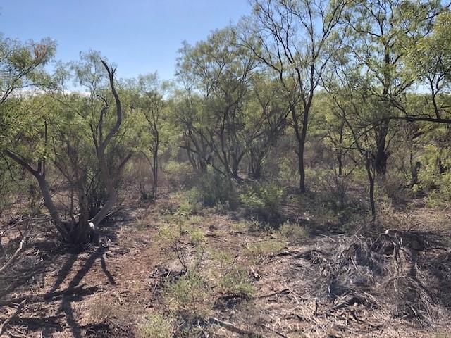 200 Farm To Market 1085 Roby, TX 79543 - Photo 7 of 28 a view of a yard with lots of bushes
