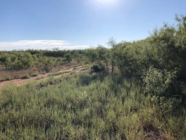 a view of a green field with lots of bushes