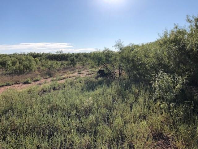 200 Farm To Market 1085 Roby, TX 79543 - Photo 9 of 28 a view of a green field with lots of bushes