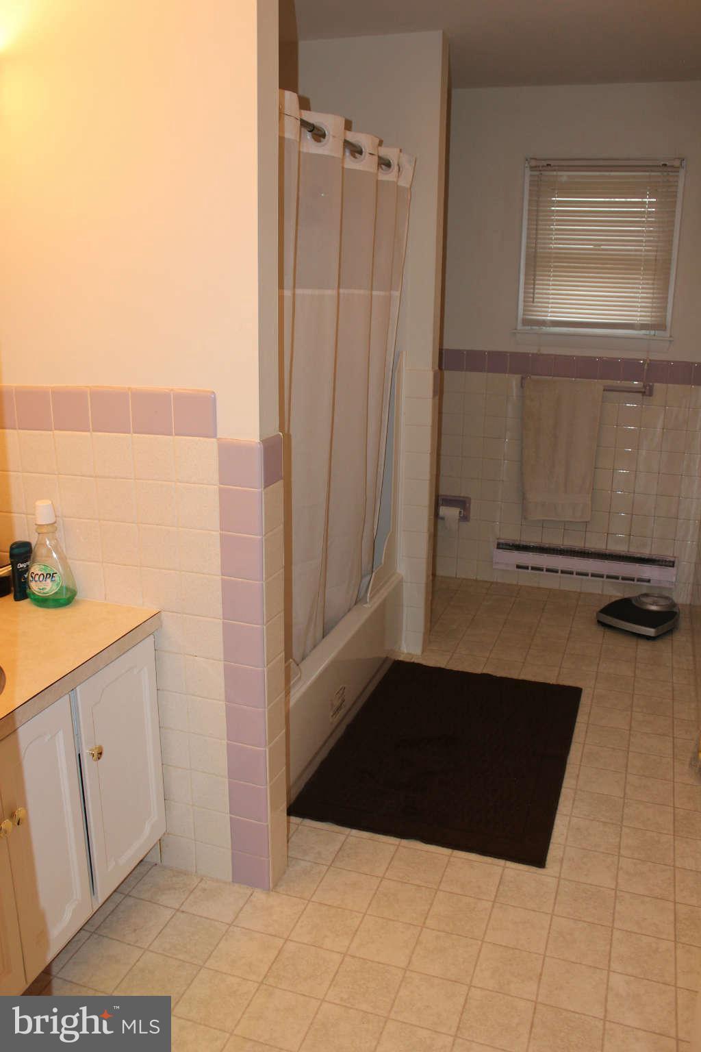 217 Ridge Road Winchester, VA 22602 - Photo 14 of 18 Bath