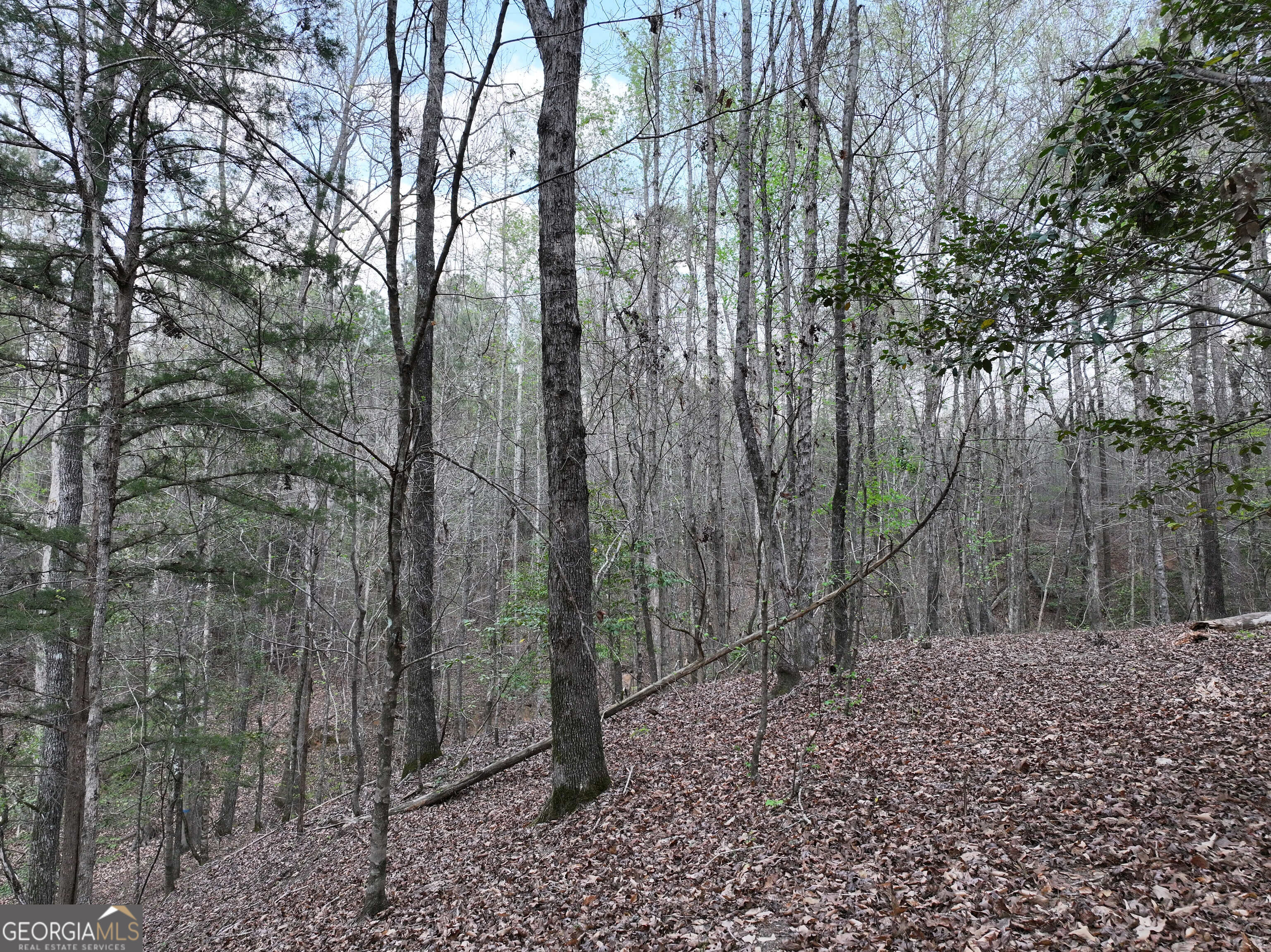 195 County Line Road Morris, GA 39867 - Photo 44 of 69 Gallery Image 44