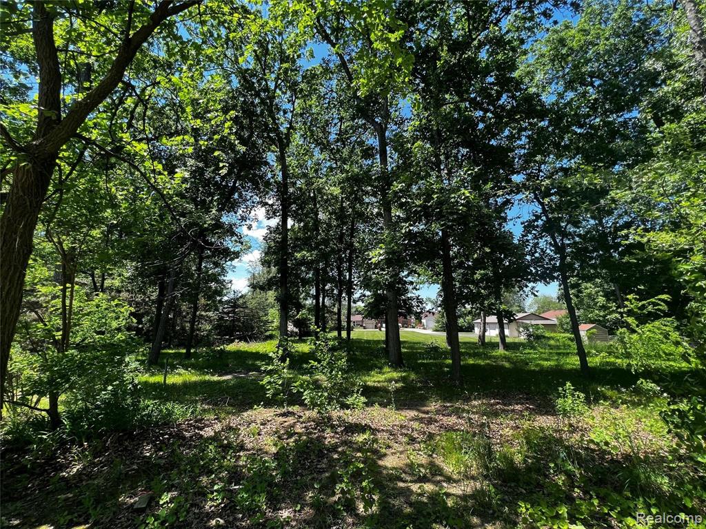 0 Edgewater Drive Brighton, MI 48116 - Photo 1 of 14