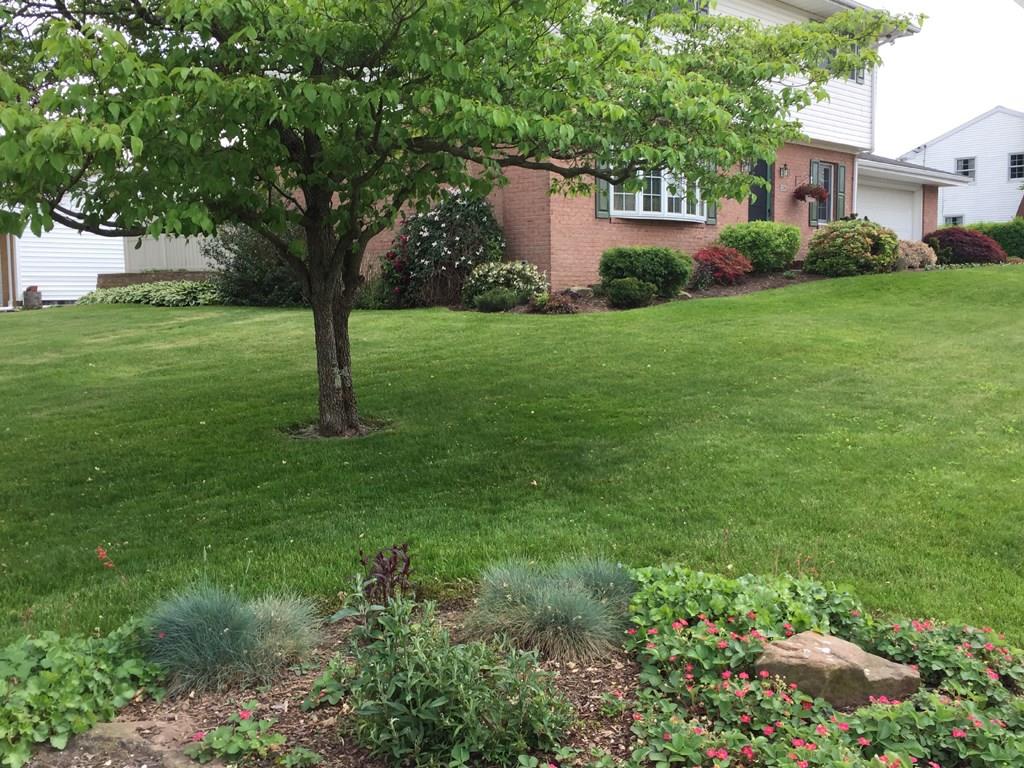 28 Shady Drive Indiana, PA 15701 - Photo 22 of 25 Landscaping
