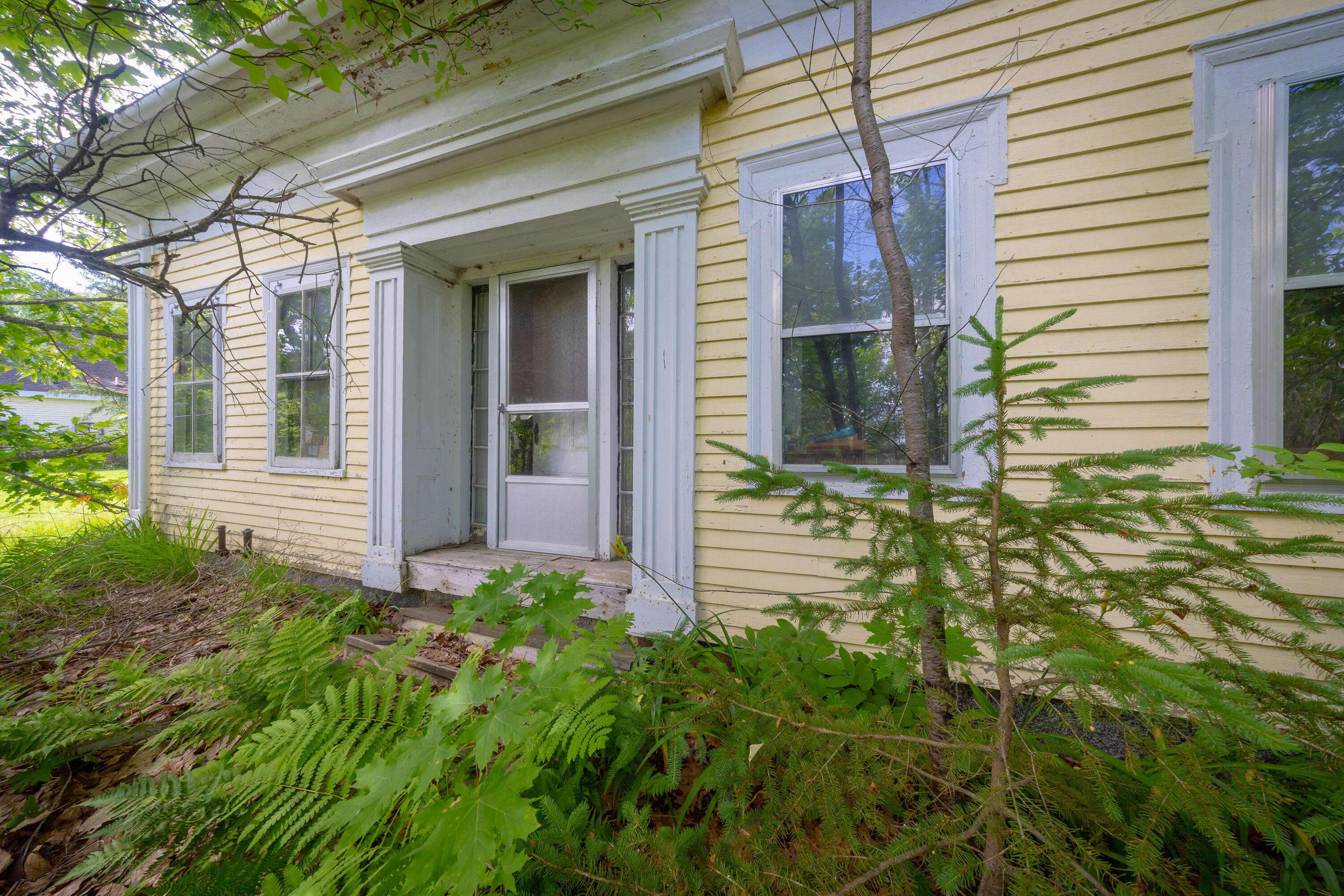 19 Newbury Neck Road Surry, ME 04684 - Photo 8 of 10 08-19 Newbury Neck Road-DTP