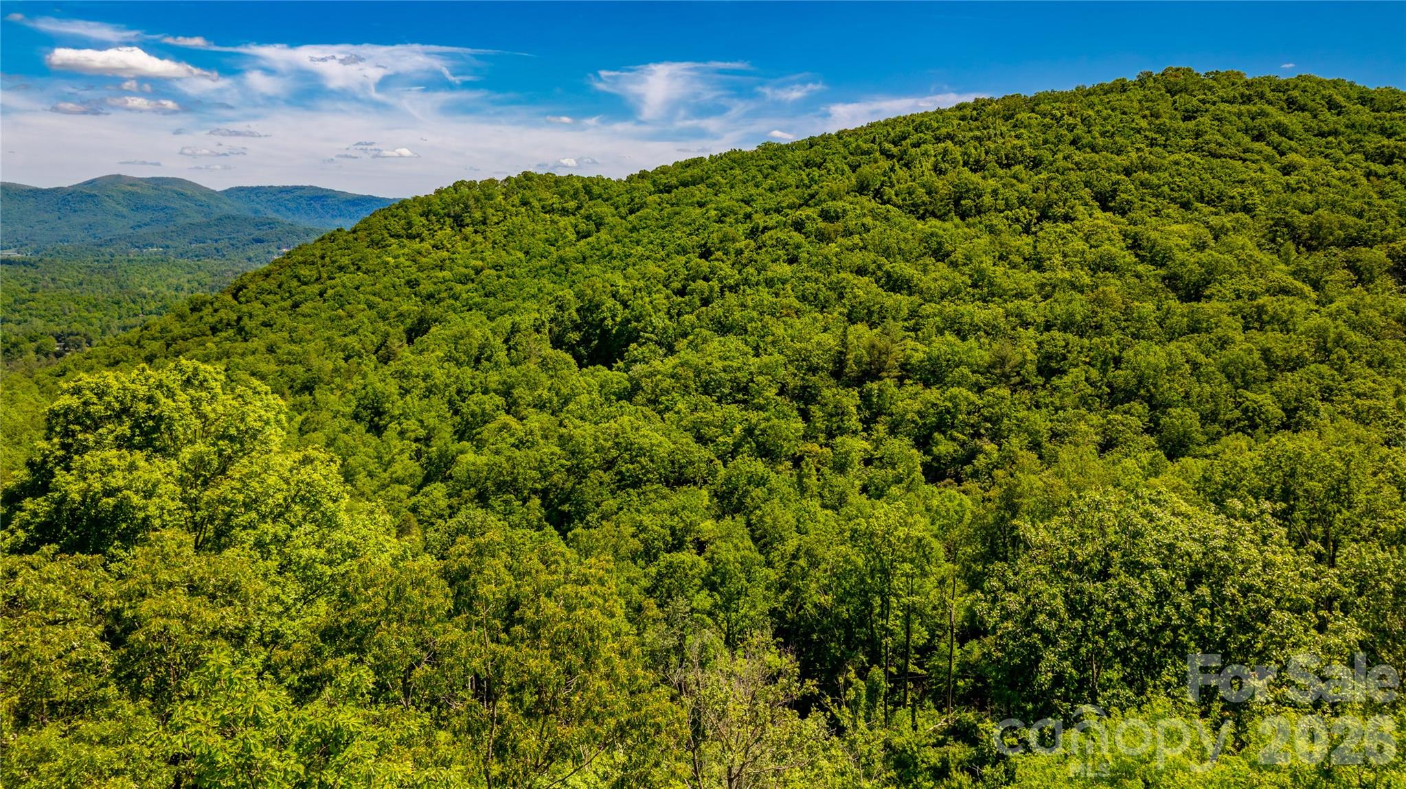 214 Ballard Creek Road Fairview, NC 28730 - Photo 14 of 18 a view of a green field with lots of bushes