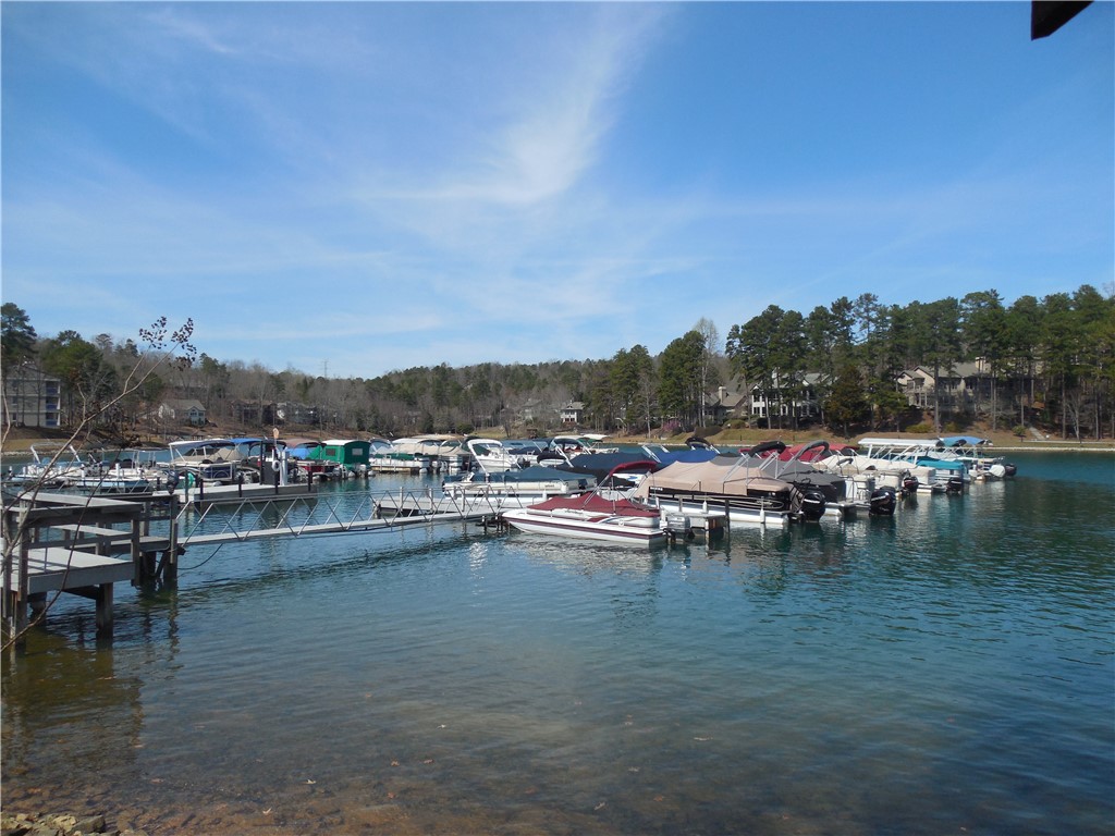 23 Tradewinds Way Salem, SC 29676 - Photo 29 of 31 Boats await adventure at the marina, surrounded by wooded hills and lakeside homes.
