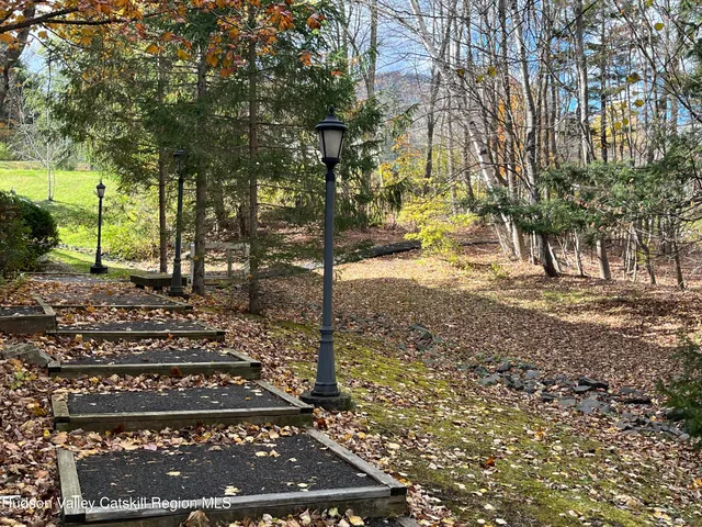 a view of a yard with trees