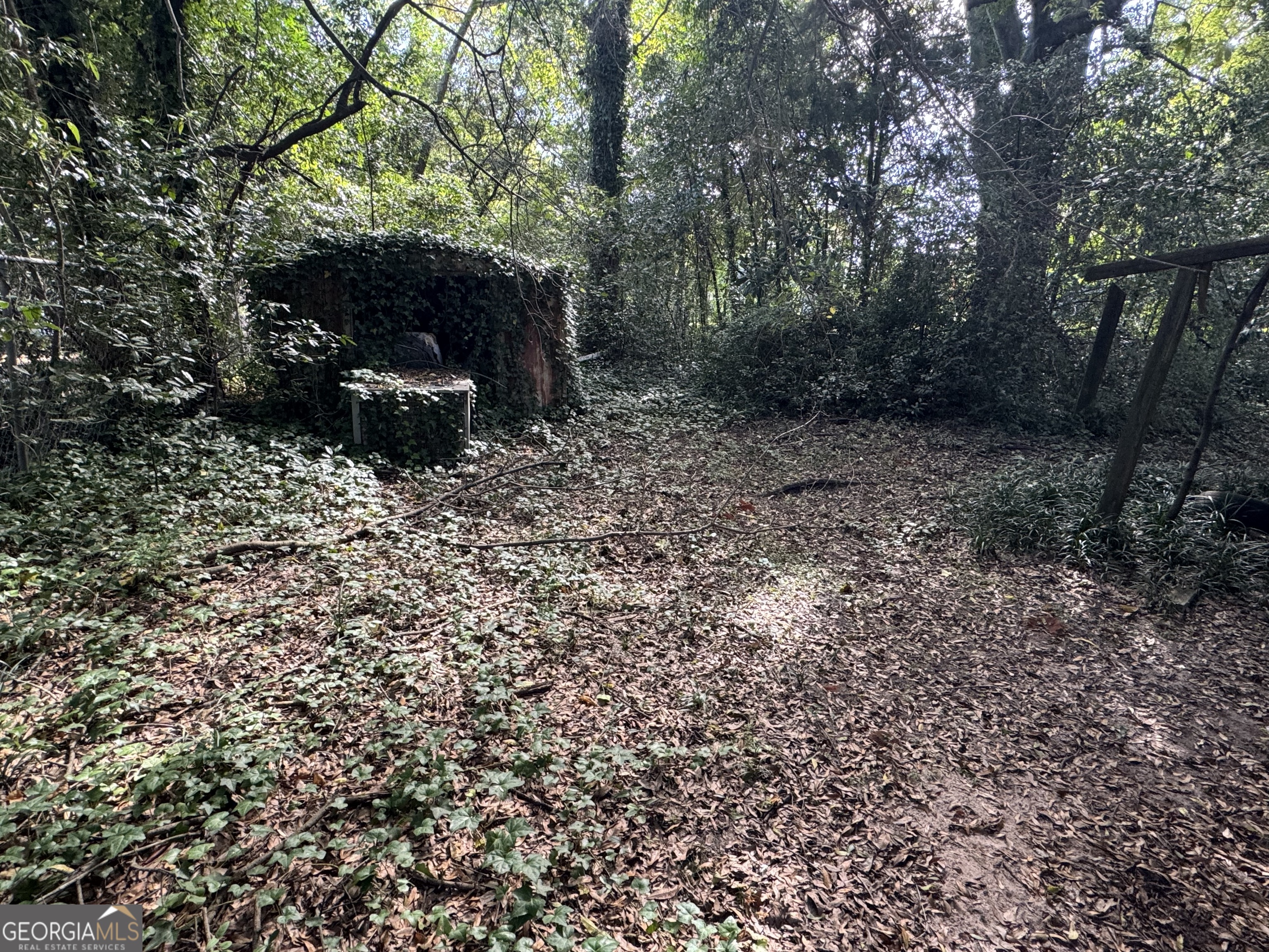406 South Hampton Street Americus, GA 31709 - Photo 8 of 9 a view of a backyard with large trees